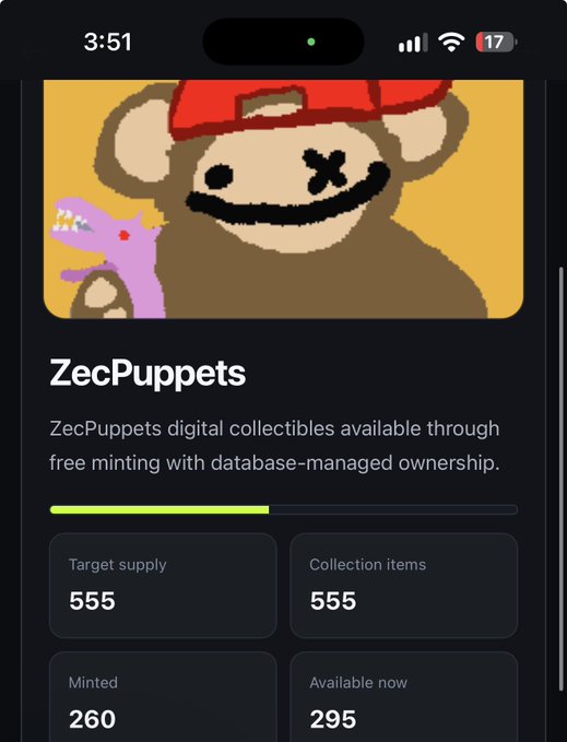 The ZecPuppets digital collectibles launchpad page shows a target supply of 555 collection items with only 260 minted and 295 available now, illustrating a slow and underperforming mint. This low minting activity directly supports the user's criticism of it being the worst mint experience they've encountered this year.