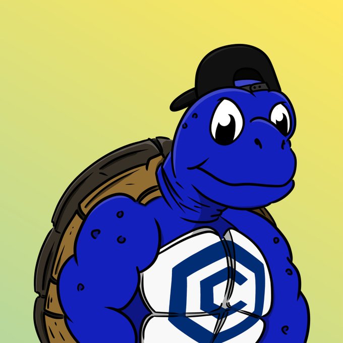 A cartoon illustration of a muscular blue turtle wearing a black cap and a white tank top with a blue geometric logo.