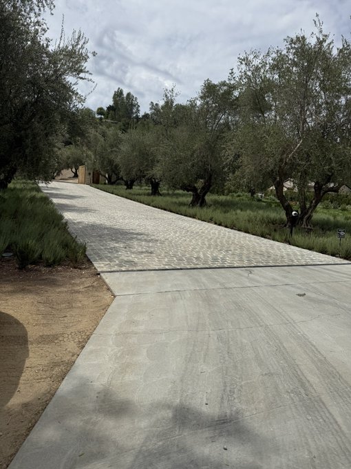 A paved driveway lined with olive trees leads toward an exclusive estate, visually symbolizing the gated access that tokenized real estate promises to unlock for a wider audience. The image's image_search_query is "luxury gated estate olive trees".
