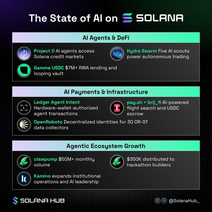 An infographic titled 'The State of AI on SOLANA' from Solana Hub detailing AI Agents & DeFi projects like Project O, Gamma USDC, and Hydra Swarm, along with payment infrastructure and ecosystem growth statistics.