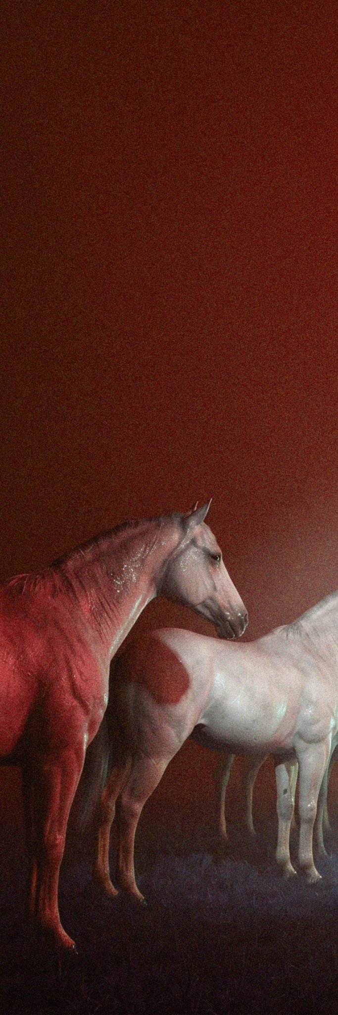 An atmospheric, dimly lit scene features a dark red horse standing next to a white horse against a deep brown background.