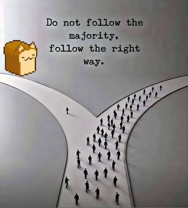A motivational graphic showing a pixel-art orange cat (Doge) on a path that diverges, with crowds of people walking the popular route. Text reads 'Do not follow the majority, follow the right way.'