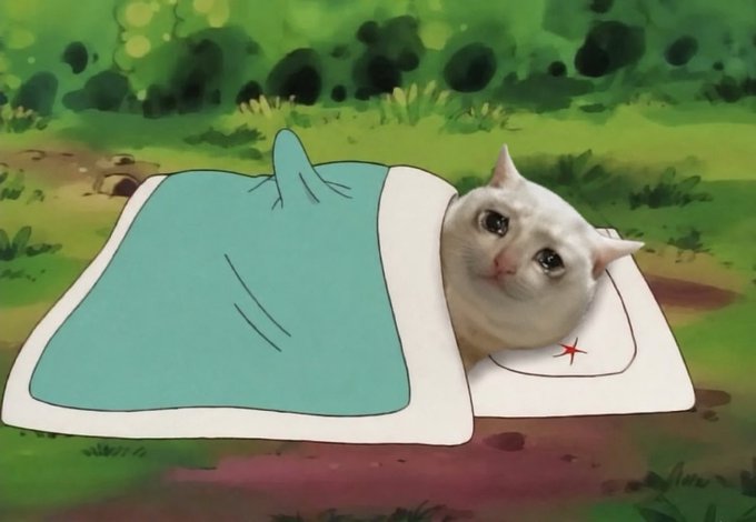 A humorous edited image of a white cat's head superimposed onto an anime-style character lying in a sleeping bag in a grassy field.