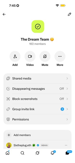A screenshot of a Messenger group chat interface titled 'The Dream Team' with 160 members, showing options like Add, Video, Mute, and various settings including Shared media and Disappearing messages.