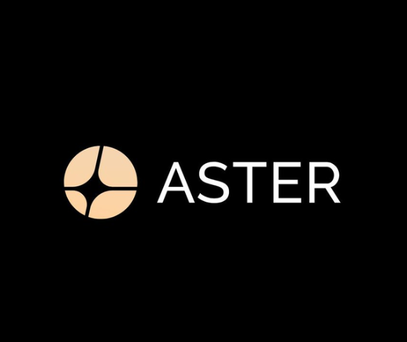 The image features a black background with white text that reads "Aster". This could be interpreted as an alternative name for a company named "Aster". The presence of text on a dark backdrop makes it stand out, emphasizing its prominence within the visual context.
