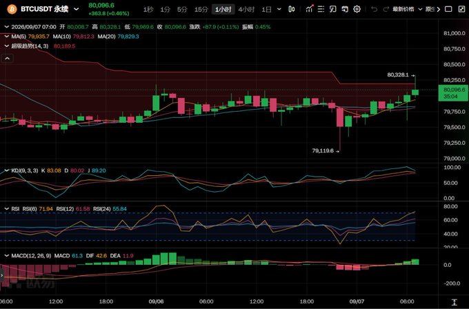 A TradingView BTCUSDT perpetual futures chart showing a current price of 80,096.6 with a +363.8 (+0.46%) gain and various technical indicators below.