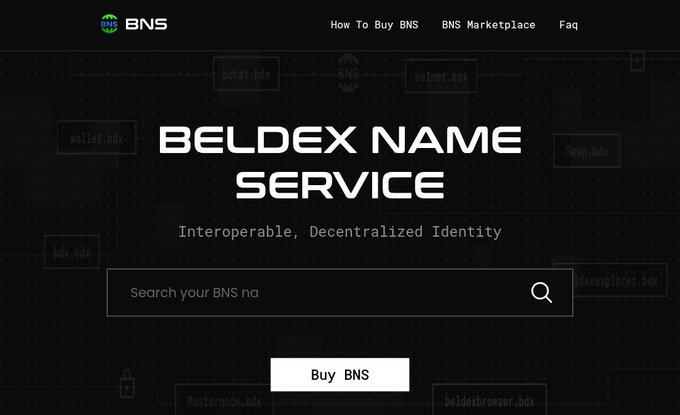A website interface for 'BELDEX NAME SERVICE (BNS)' with the tagline 'Interoperable, Decentralized Identity', featuring a search bar for BNS names and a 'Buy BNS' button.