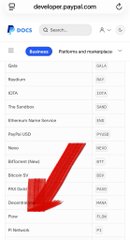 The image shows developer.payspi.com with a dropdown menu displaying various partners and intermediary platforms under categories like Platforms and marketplaces (Beauty, Revshare, GTA, The Sandbox, Ethereum Name Service, PapParu DAO, Noto, NFTstars, Decentral Games, PKB Bank, Decentralized, Pally, Pirate, Pi Network), with a large red arrow pointing toward the list of intermediary partners and platforms that would "show themselves" once Pi Network infrastructure opens its connections.