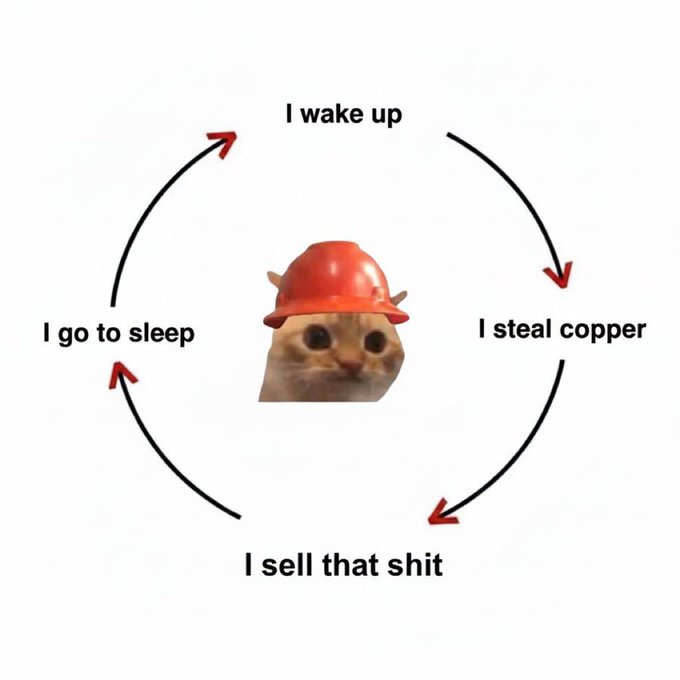 A meme cycle diagram featuring a cat wearing a red construction hard hat in the center, with arrows connecting the text 'I wake up,' 'I steal copper,' 'I sell that shit,' and 'I go to sleep.'