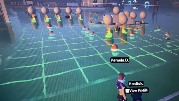 A video game scene depicts avatars walking through a flooded swimming pool marked with a grid and filled with floating objects, with 'Pamela.D.' and 'Hostick.' visible as usernames.