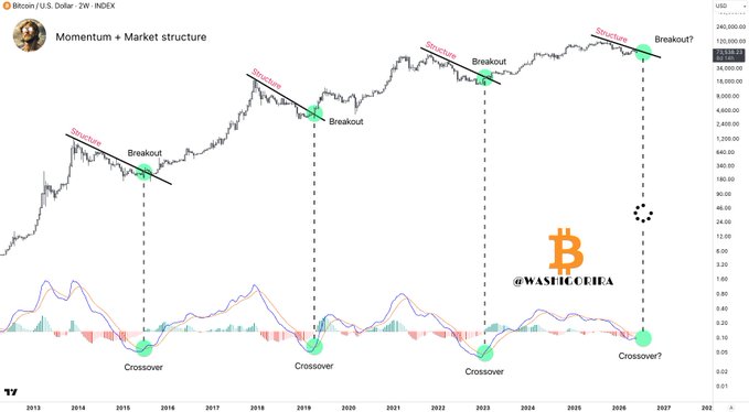 The image presents a chart showing Bitcoin price fluctuations over time. The chart displays various points of interest with a blue line indicating a bear market, as indicated by the words "bear market" or "collapse". It also features a red line with a caption that reads, "Focus on what is in the image and how it relates to the post." This likely refers to the recent update about Bitcoin's momentum.