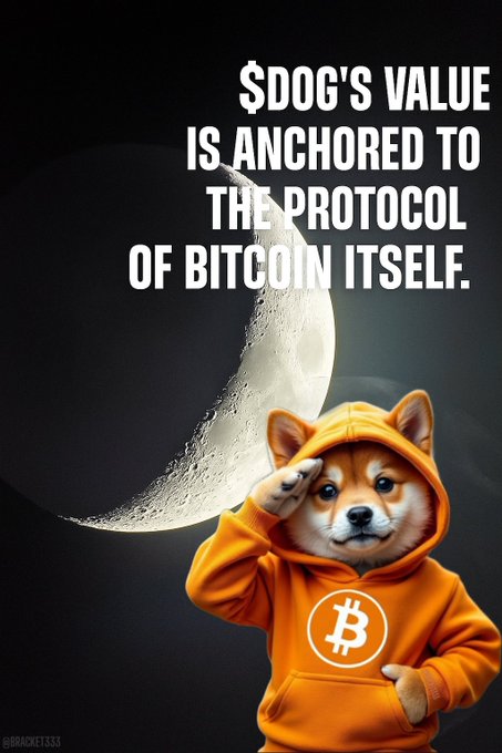 A Shiba Inu dog in an orange Bitcoin-logo hoodie salutes against a moon background, with text reading "$DOG'S VALUE IS ANCHORED TO THE PROTOCOL OF BITCOIN ITSELF." by @BRACKET333.