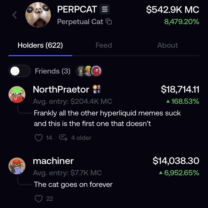 Screenshot of PERPCAT (Perpetual Cat) token page showing $542.9K market cap, 8,479.20% gain, 622 holders, and comments from users NorthPraetor and machiner about hyperliquid memes.