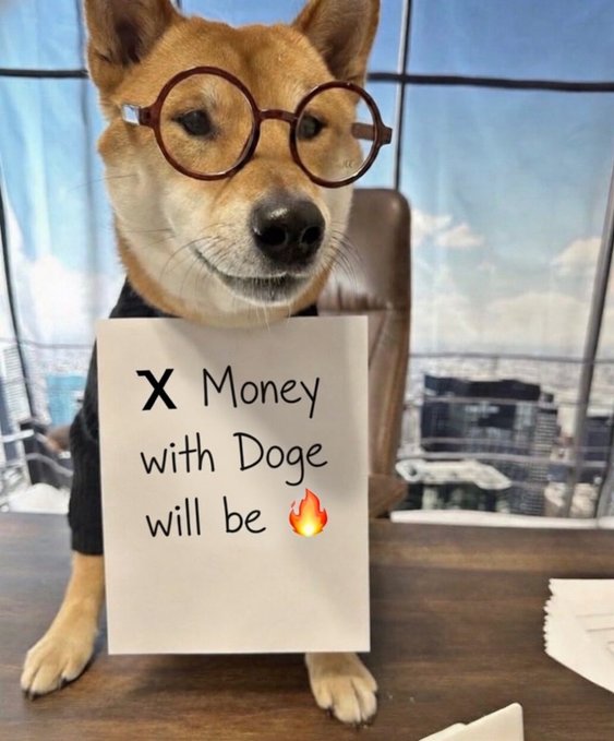 In the image, a dog wearing glasses stands next to a sign that reads "X money with DOGE will be". The text on the sign suggests that the company behind DOGE has created an app or platform for users to invest in cryptocurrency, specifically Bitcoin. This implies that the DOGE CEO is aware of the potential benefits and opportunities associated with investing in Bitcoin, as it can provide financial gains when used correctly.