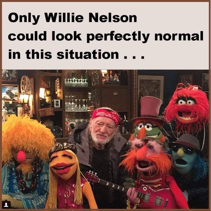A meme showing Willie Nelson posing in a red bandana alongside several Muppet characters, captioned 'Only Willie Nelson could look perfectly normal in this situation...'