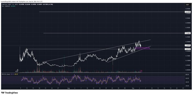 A TradingView chart titled 'hudsonShu2006 created with TradingView.com, Sep 06, 2024' shows a rising wedge pattern on the USDT.CAD pair, with the current price at 1.3599 and changes of -0.3499 (-0.04%) and -0.01537 (-0.01%).