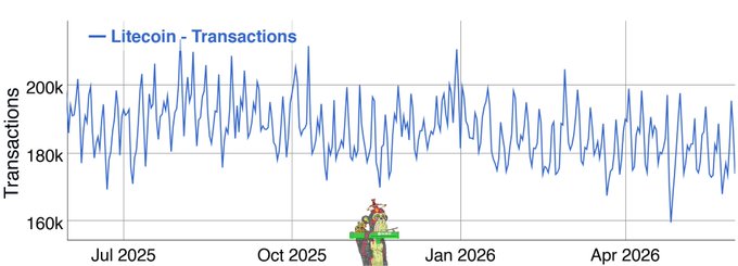 The image features a graph that shows the number of transactions processing at Litecoin over time for an entire year, ranging from January through December. The data points show a consistent upward trend in Litecoin transactions, suggesting its increasing popularity among users. In addition to the graph, there is also text on the image stating how Litecoin just keeps moving money quietly in the background while chains need hype to stay relevant and @litecoin just keeps moving money quietly in the background. The text seems to be providing some context or explanation about the trend observed in the graph.