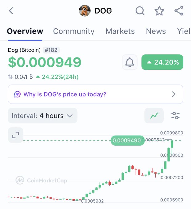 A CoinMarketCap screenshot showing Dog (Bitcoin) DOG token at $0.000949, up 24.20% in 24 hours, with a 4-hour price chart displayed.