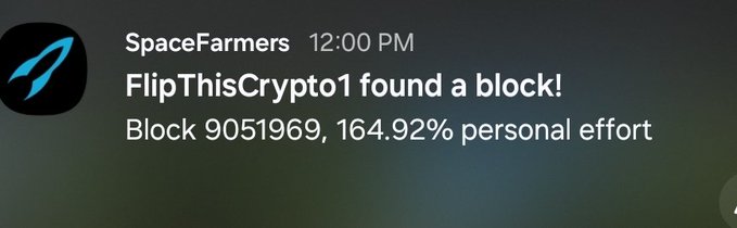 A SpaceFarmers Discord notification reading 'FlipThisCrypto1 found a block! Block 9051969, 164.92% personal effort' timestamped at 12:00 PM.