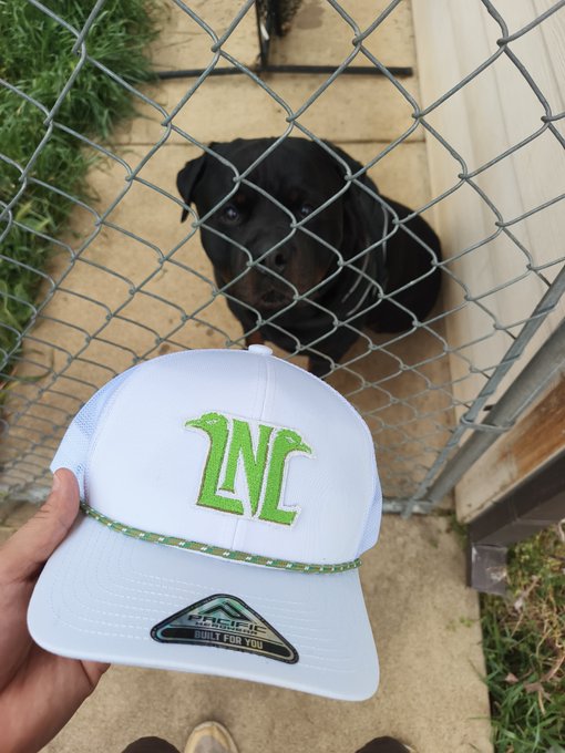 A hand holding up a white ZNC trucker hat with green trim and lettering in front of a chain-link fence, with a black dog watching from behind the fence.