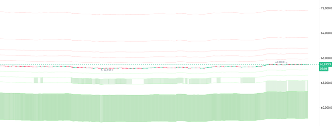 A depth chart for BTC showing a thick stack of buy orders (green) below the current price of $65,931.1 with minimal to no sell orders (red) on the opposite side, visually supporting the claim that whale buy orders are solid while sell orders are absent.