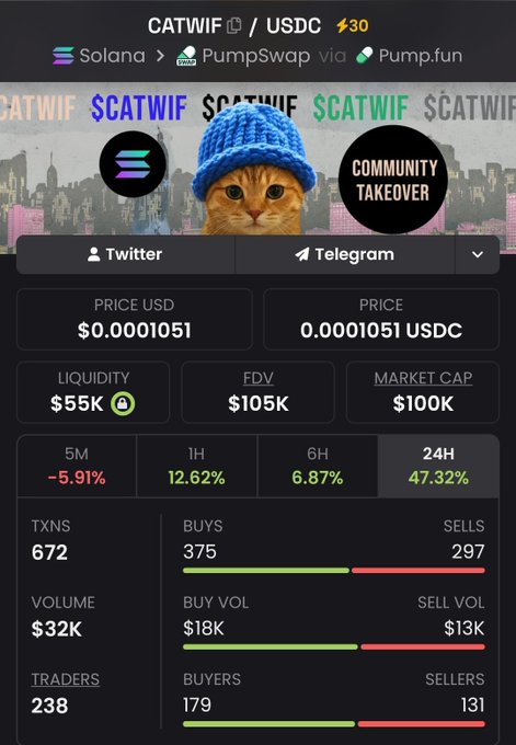 A cryptocurrency trading dashboard for CATWIF/USDC on Solana via PumpSwap shows a price of $0.0001051, market cap of $100K, and 47.32% gain in 24H.