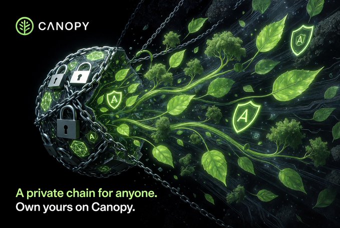 A Canopy advertisement featuring a ball of chains and locks breaking apart into green leaves and shields, with the text 'A private chain for anyone. Own yours on Canopy.'