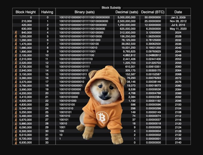 An infographic showing the Bitcoin block subsidy halving schedule with columns for block height, halving number, binary representation, decimal satoshis, BTC amount, and date, overlaid with a photo of a Shiba Inu dog wearing a bitcoin-themed hoodie.