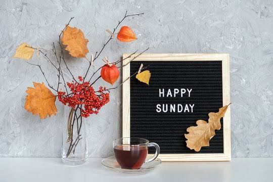 A 'HAPPY SUNDAY' letter board sits next to a glass vase with autumn leaves and red berries, accompanied by a glass cup of dark tea on a saucer against a textured gray background.