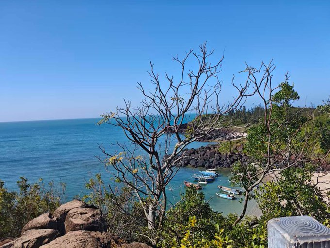 A coastal landscape features a gnarled, mostly bare tree in the foreground overlooking a bay with small boats, rocky cliffs, and a clear blue sky.