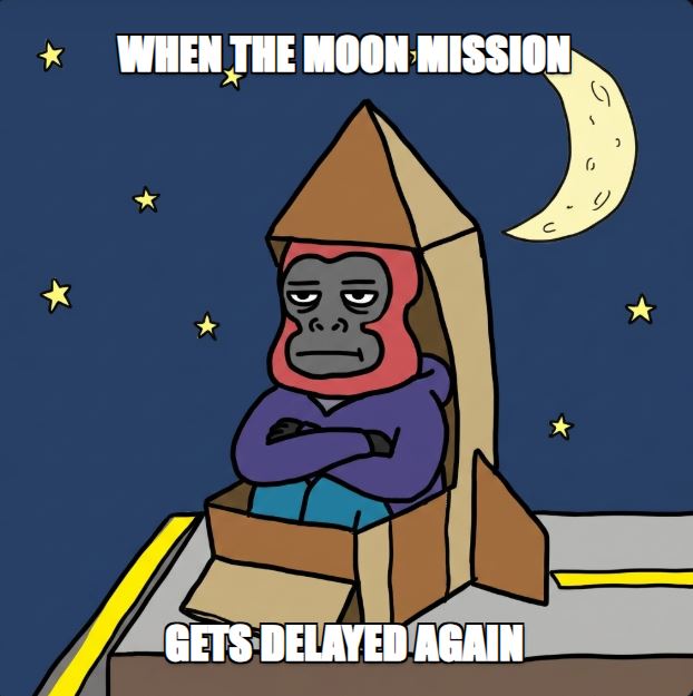 A cartoon meme depicting a grumpy monkey in a cardboard rocket ship with the text 'WHEN THE MOON MISSION GETS DELAYED AGAIN'.