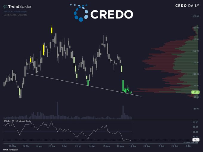 TrendSpider daily candlestick chart for CREDO (CRDO) showing a descending trendline with a recent bounce near $162.95 and an RSI (14) at 33.13 indicating oversold conditions.