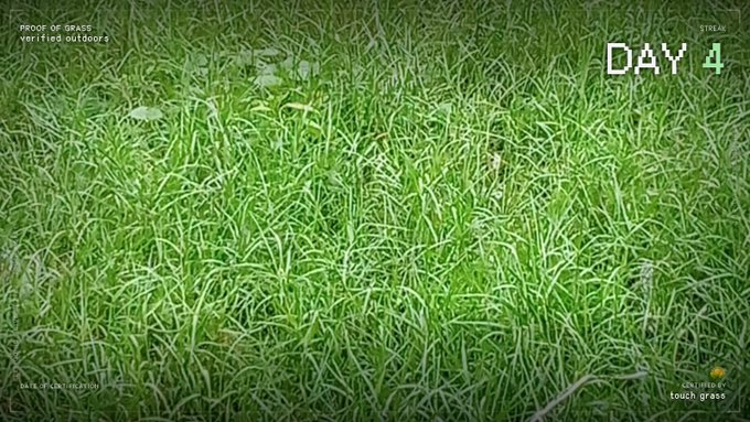 Close-up of green grass with overlay text 'PROOF OF GRASS verified outdoors', 'DAY 4', 'STRELK', 'GENIE / CHARTVERSION', and a 'touch grass' logo.