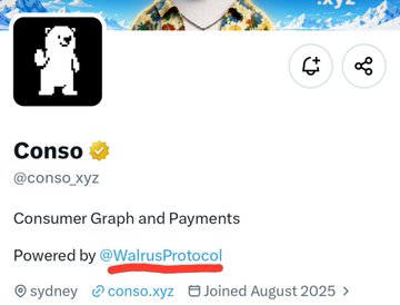 The image shows the Twitter/X profile of Conso (@conso_xyz), featuring a cartoon bear logo, with the bio describing it as "Consumer Graph and Payments" on the Sui Network and "Powered by @WalrusProtocol." It visually supports the accompanying post about Conso building a consumer reputation layer on Sui, with the bio confirming its connection to Walrus Protocol.