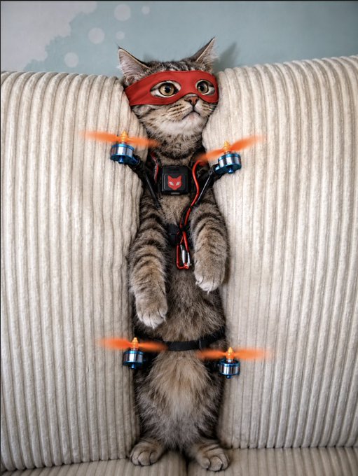 A tabby cat stands upright on a beige ribbed couch, wearing a red superhero-style mask and a harness equipped with four small spinning propellers attached to its body.