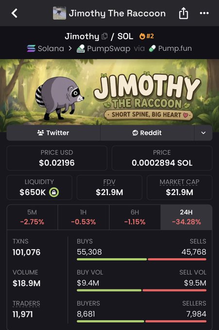 The image shows a cryptocurrency tracking page for "Jimothy The Raccoon" ($JIMOTHY), a Solana-based meme token on PumpSwap via Pump.fun, priced at $0.02196 with a $21.9M market cap despite a 34.28% drop in the 24H timeframe. The stats show 101,076 total transactions, $18.9M volume, and 11,971 traders, with 55,308 buys slightly outpacing 45,768 sells. The accompanying post's bullish sentiment about $Jimothy reaching $100M contrasts sharply with the visible -34.28% 24H decline shown in the dashboard.