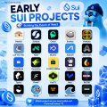 The image is a graphic titled "EARLY $SUI PROJECTS," showcasing a grid of various project logos under the SUI ecosystem, likely highlighting emerging initiatives within the Sui blockchain network. It ties to the post's mention of $SUI by visually representing the early-stage projects built on the Sui platform, though the post itself focuses on institutional confidence in native BTC over bridges and wrapped alternatives.