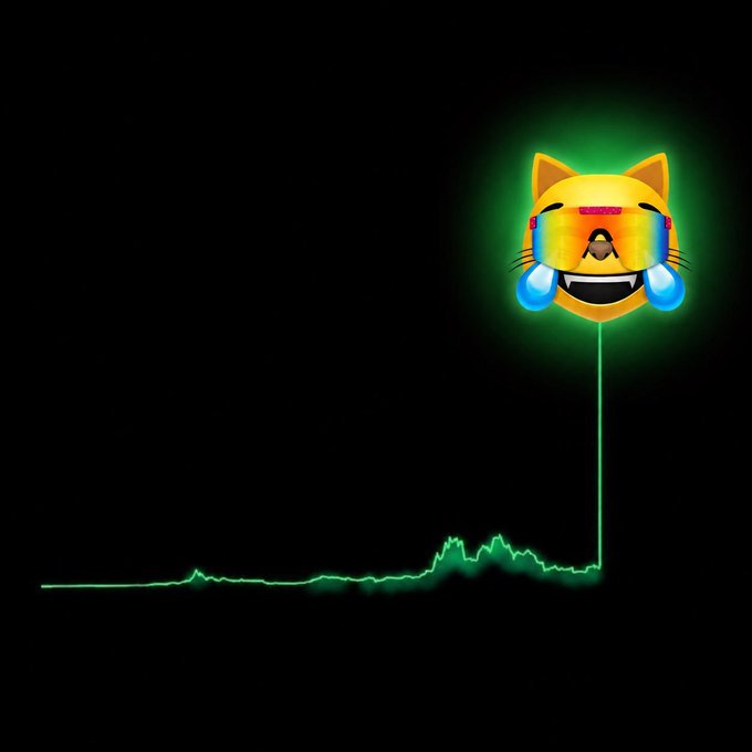 A digital illustration featuring a crying cat emoji with rainbow sunglasses perched atop a vertical green line, with a flat green ECG-like graph line extending horizontally at the bottom against a black background.