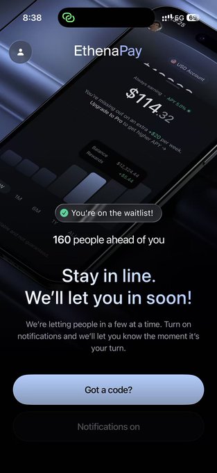The image shows the EthenaPay app waitlist screen displaying "$114.32 Always earning + APY 0%" with a confirmation that "You're on the waitlist!" and "160 people ahead of you," accompanied by the message "Stay in line. We'll let you in soon!" This perfectly illustrates the poster's experience of joining the Ethena Pay waitlist, as it shows the same 160 people-ahead position they mentioned after the queue decreased from over 500.