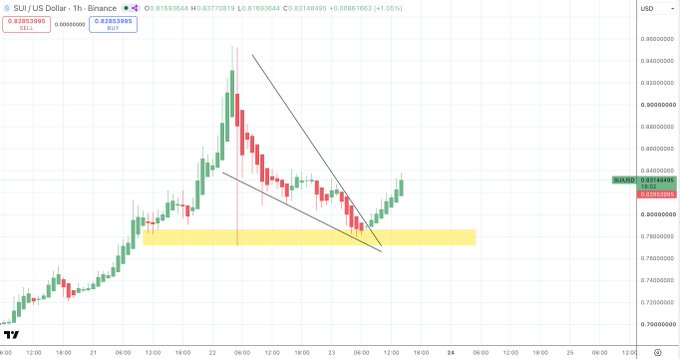 A 1-hour candlestick chart of SUI/US Dollar on Binance shows price action near $0.8286, with the asset breaking above a descending trendline and retesting a yellow support zone, indicating bullish continuation potential as mentioned in the post.