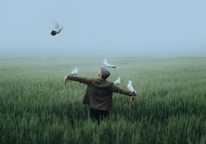 The image features a man standing in a field of tall grass, holding four birds in his hands. The man appears to be wearing a brown jacket as he holds the birds above him. The background shows more of the same field with additional birds flying around. The caption for this image reads "Good morning Frens Happy Tuesday Another day to keep going things get better with time just put in the work Stack more @River4fun".