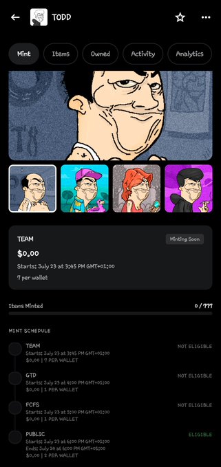 This image shows a mobile app screen displaying a collection called "TODD" featuring cartoon-style character artwork, with a mint schedule showing entries marked "NOT ELIGIBLE" for Team, GTD, and FCFS categories, while only the "PUBLIC" option is marked as "ELIGIBLE" (with a price of $0.00). The screenshot illustrates the exact issue described in the post—showing "Not eligible" status for most mint tiers despite the user being eligible when checking through another dapp with the same wallet.