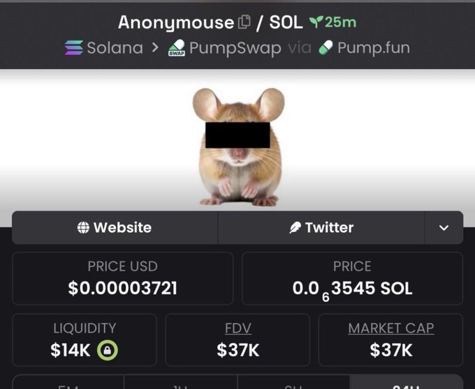 Another view of the "Anonymouse" token page on Solana showing price of $0.00003721 USD, $14K liquidity, and $37K market cap via PumpSwap/Pump.fun.