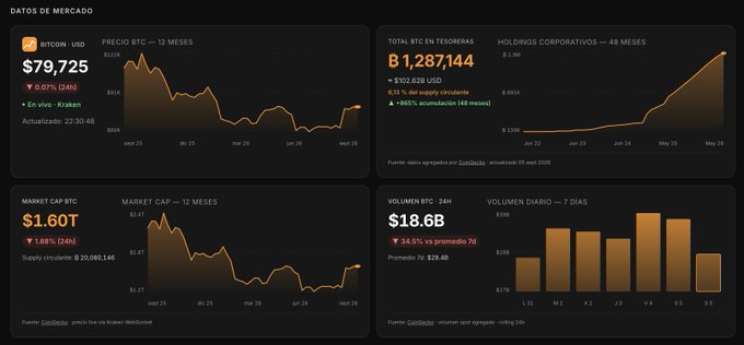 A dark-themed Bitcoin market data dashboard displaying BTC price at $79,725, a market cap of $1.60T, total BTC supply of 19,287,144, and a 24-hour volume of $18.6B.