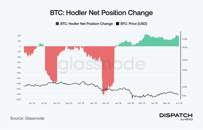The image presents a line graph illustrating the Hodler Net Position Change of Bitcoin over time. The x-axis represents months from January through June, with each month marked as a data point. The y-axis shows the price change of Bitcoin in US Dollars (in dollars) for the corresponding months. The graph illustrates that the long-term BTC holders started accumulating early on June 1st, indicating their investment strategy. Despite some recent falls, these accumulation strategies have been proven to work well during periods like this one.