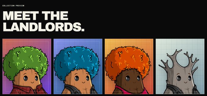 A collection preview titled "MEET THE LANDLORDS" features four cartoon characters with large, colorful afro-style hair in green, blue, orange, and a tree-like gray variant.