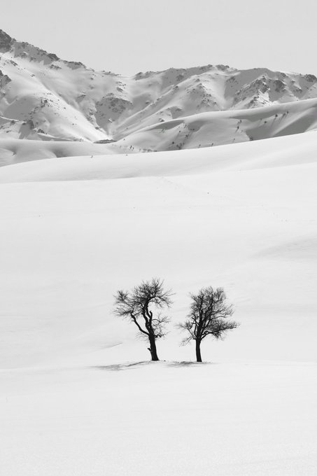 The image features two trees standing alone in a snowy field, with mountains visible in the background. The scene appears to be captured during wintertime, as evidenced by the snow covering the ground and surrounding area. The photo has been shared on social media platforms, possibly for its artistic or captivating nature.