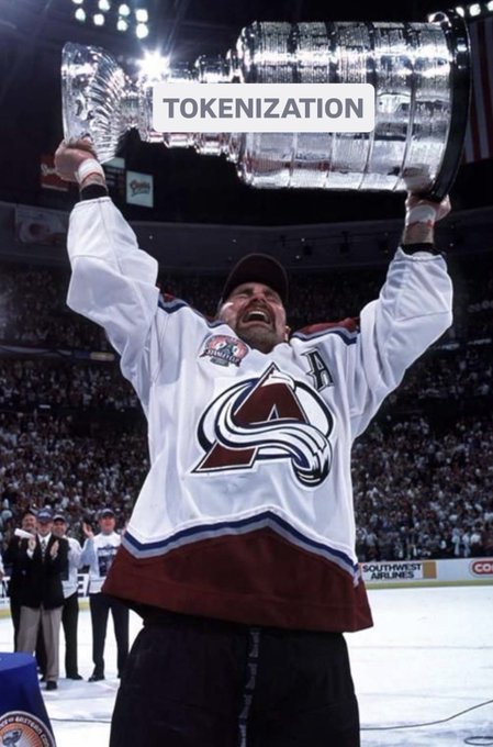 A hockey player in a Colorado Avalanche jersey triumphantly hoists the Stanley Cup, with the word 'TOKENIZATION' overlaid on the image.