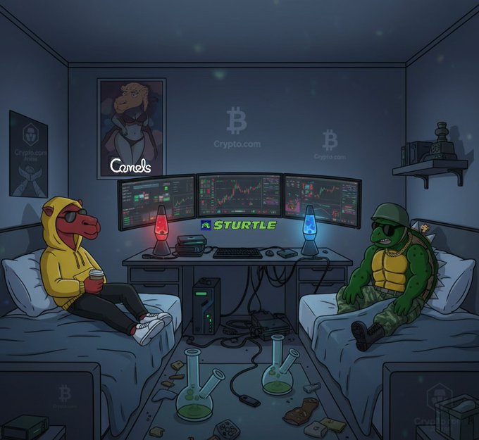 A cartoon illustration of a room with two anthropomorphic characters (one in a yellow hoodie, one a turtle) sitting on beds with a "STURTLE" sign and "Crypto.com" and "Camels" branding visible.