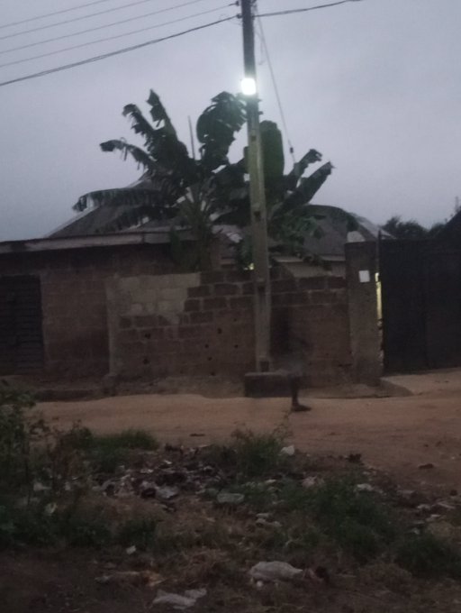 A dimly lit outdoor scene at dusk showing a brick wall, a banana tree, a street lamp, and a small figure walking on a dirt road.